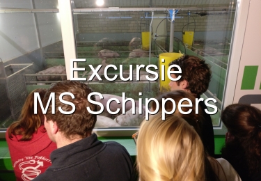 MS Schippers