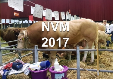 NVM 2017