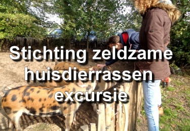 Stichting zeldzame huisdierrassen excrusie